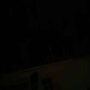 Meet your Posher, Tanner